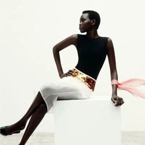 ZARA Collection Sheer Midi 100% Silk Skirt Gold Sequin Waist Size M NWT Limited